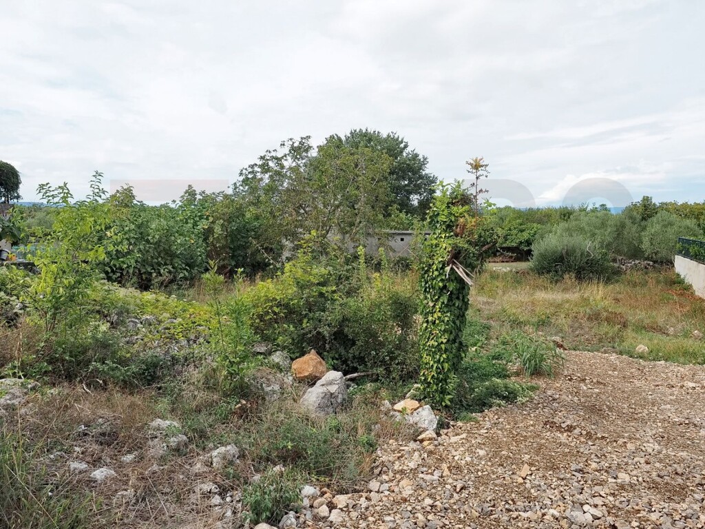 Image 6256529 - 1