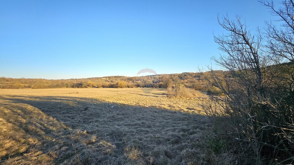 Image 6256537 - 4