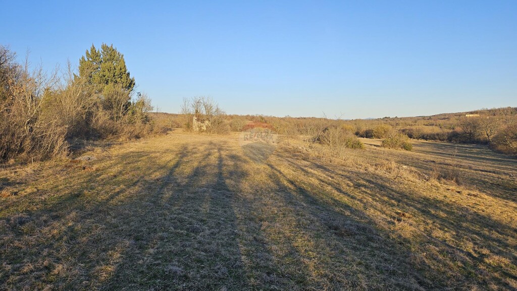 Image 6256537 - 1