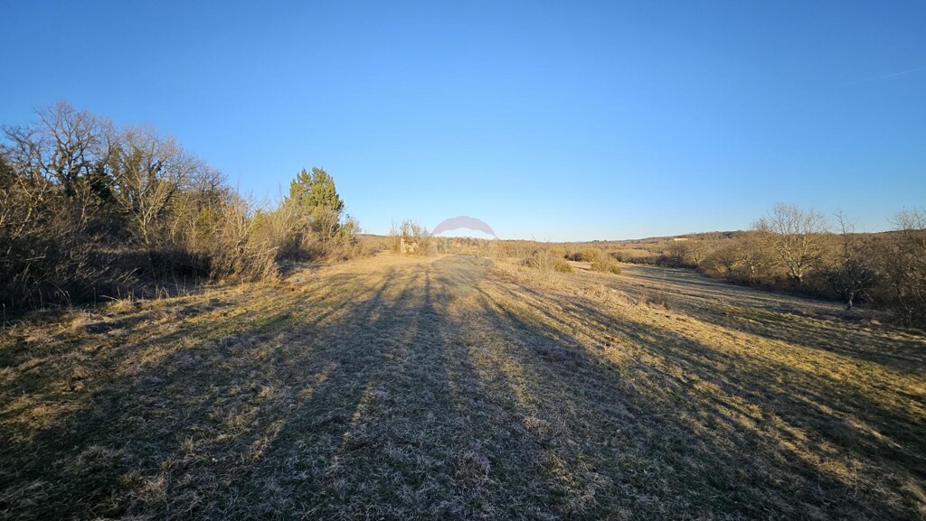 Image 6256537 - 6