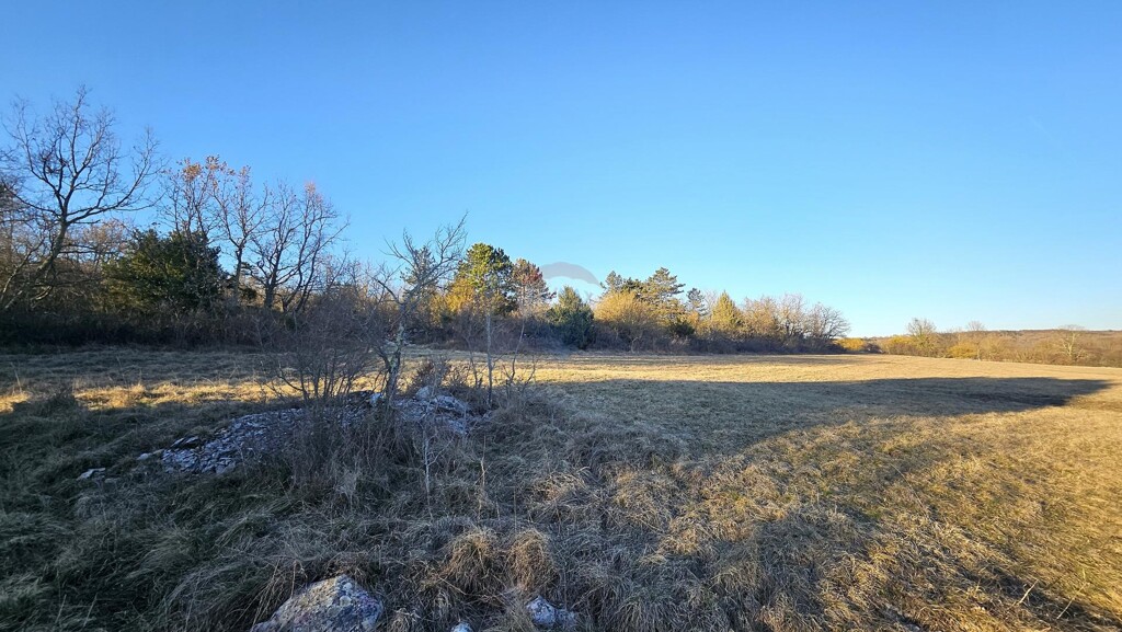 Image 6256537 - 5