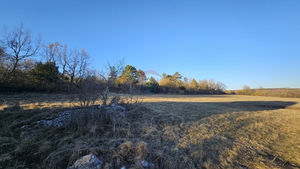Image 6256537 - 7