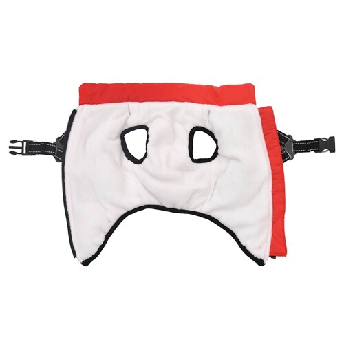 Thumbnail 6259673 - 2