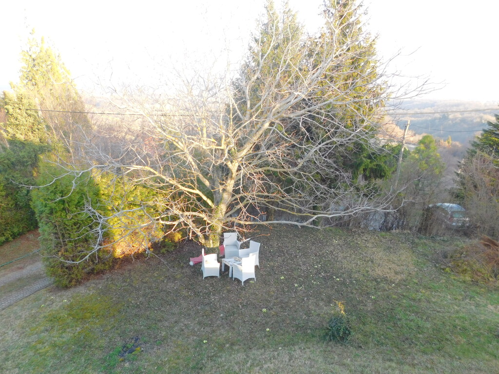 Image 6265549 - 19
