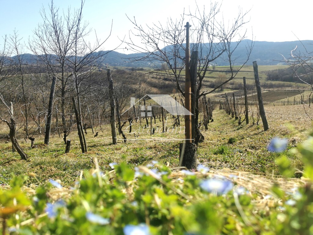 Image 6277350 - 8