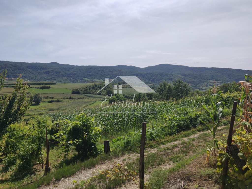 Image 6277350 - 3