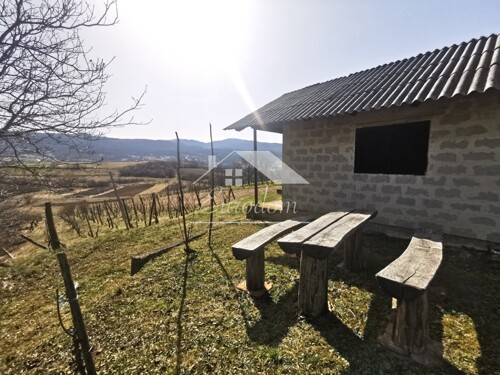 Vinograd s voćnjakom i vikendicom – savršen bijeg u prirodu!