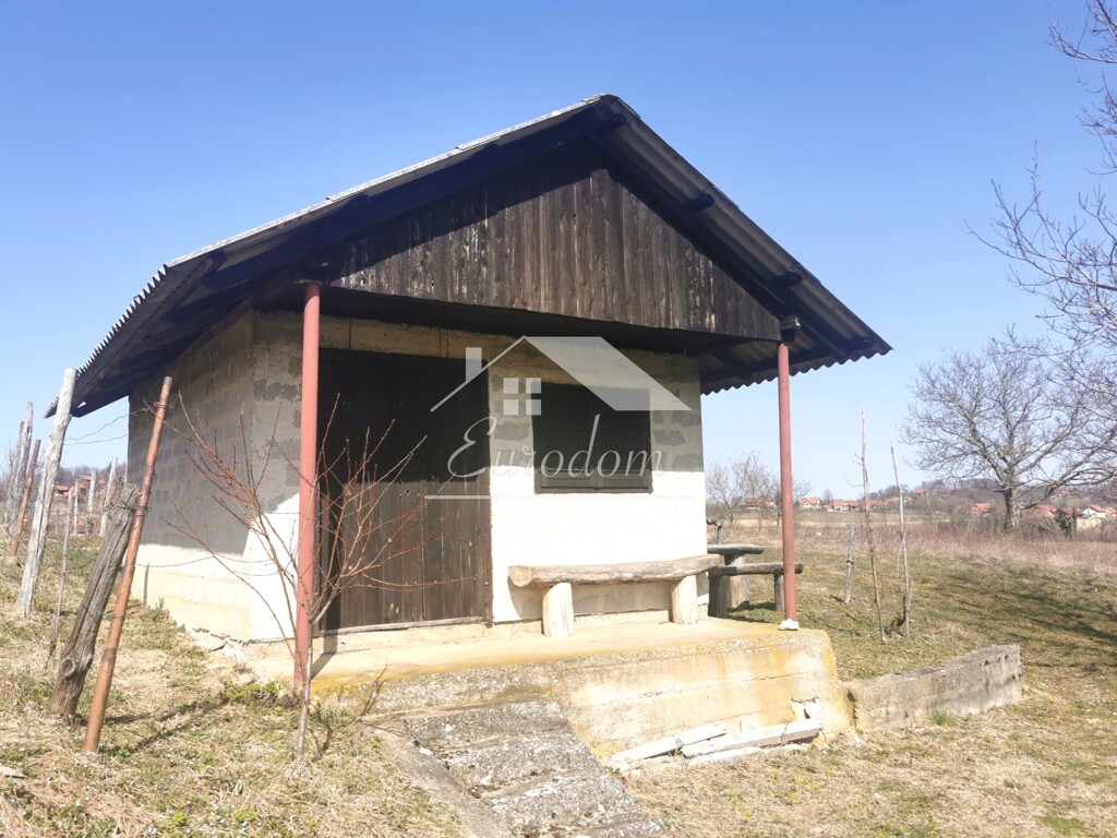Image 6277350 - 9