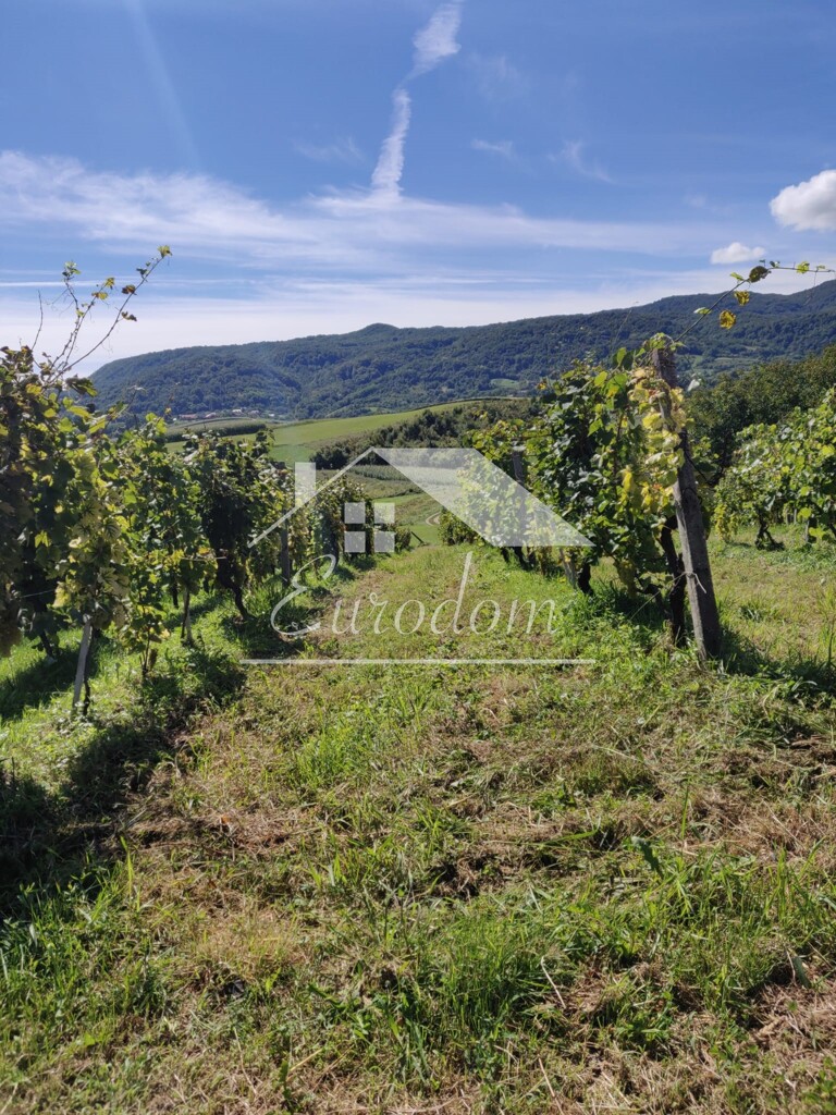 Image 6277350 - 4