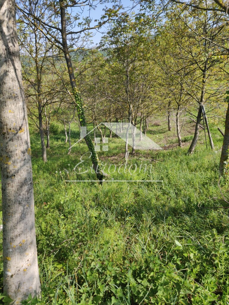 Image 6277350 - 6