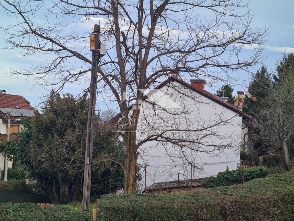 Image 6279711 - 2