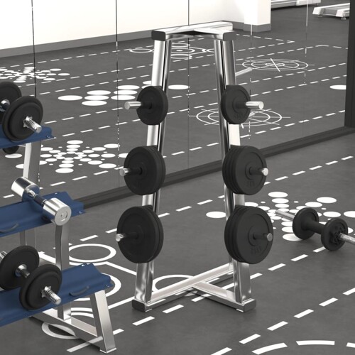 vidaXL Ploče za utege 6 kom 30 kg od lijevanog željeza