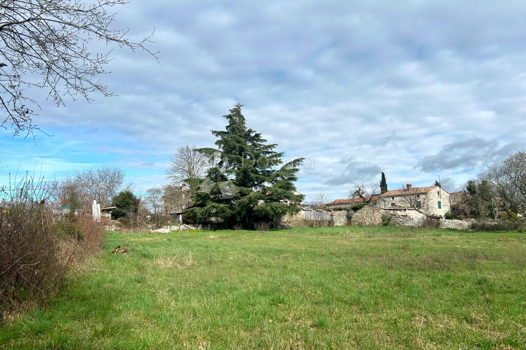 Image 6320410 - 1