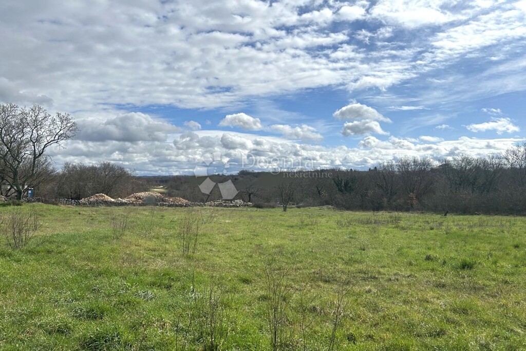 Image 6320410 - 4