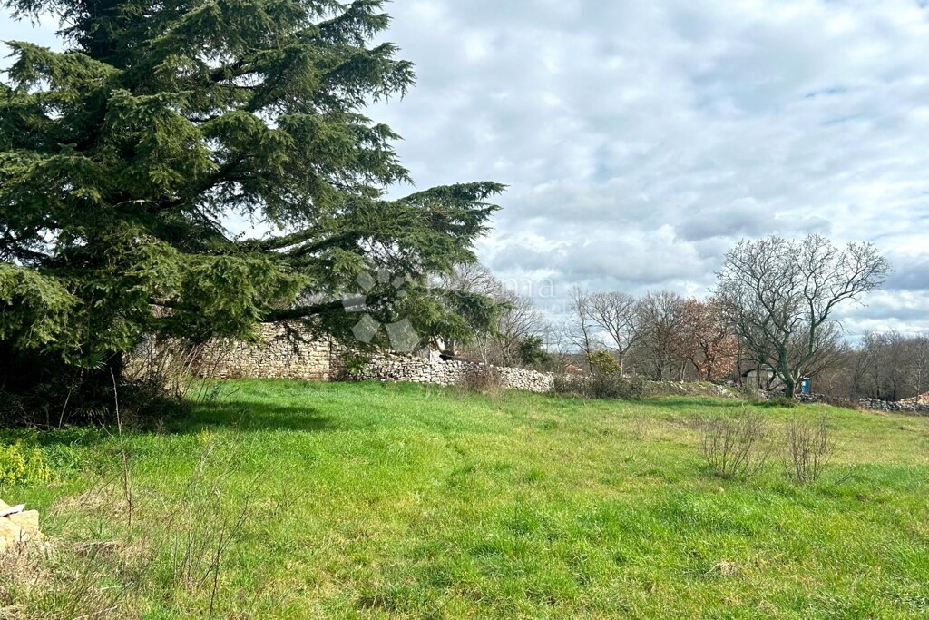 Image 6320410 - 6