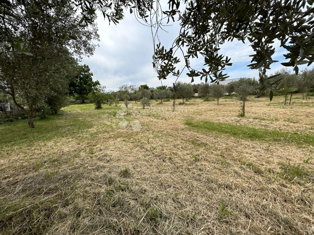 Image 6320420 - 2