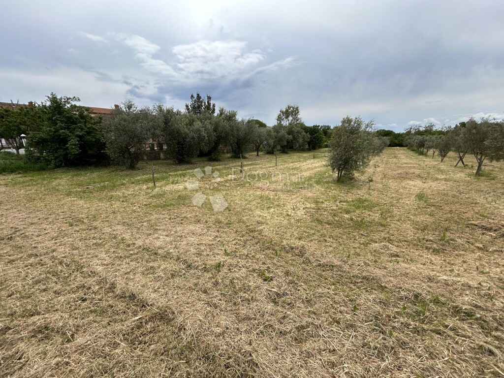 Image 6320420 - 1