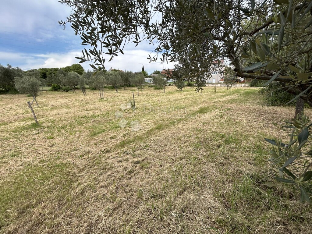 Image 6320421 - 2