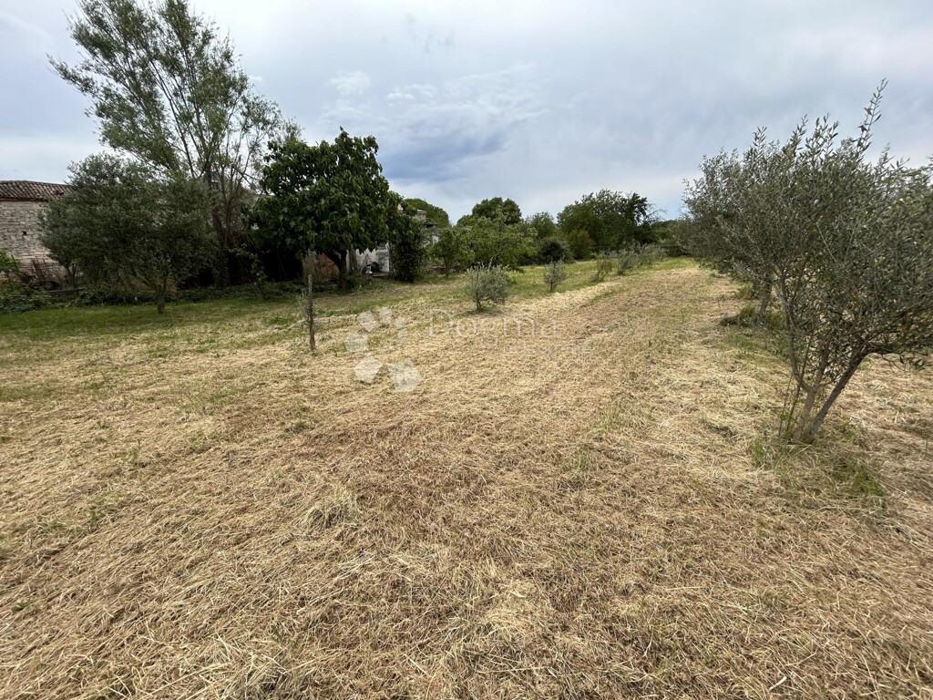 Image 6320421 - 1
