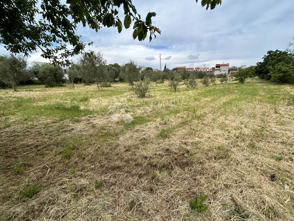 Image 6320422 - 2
