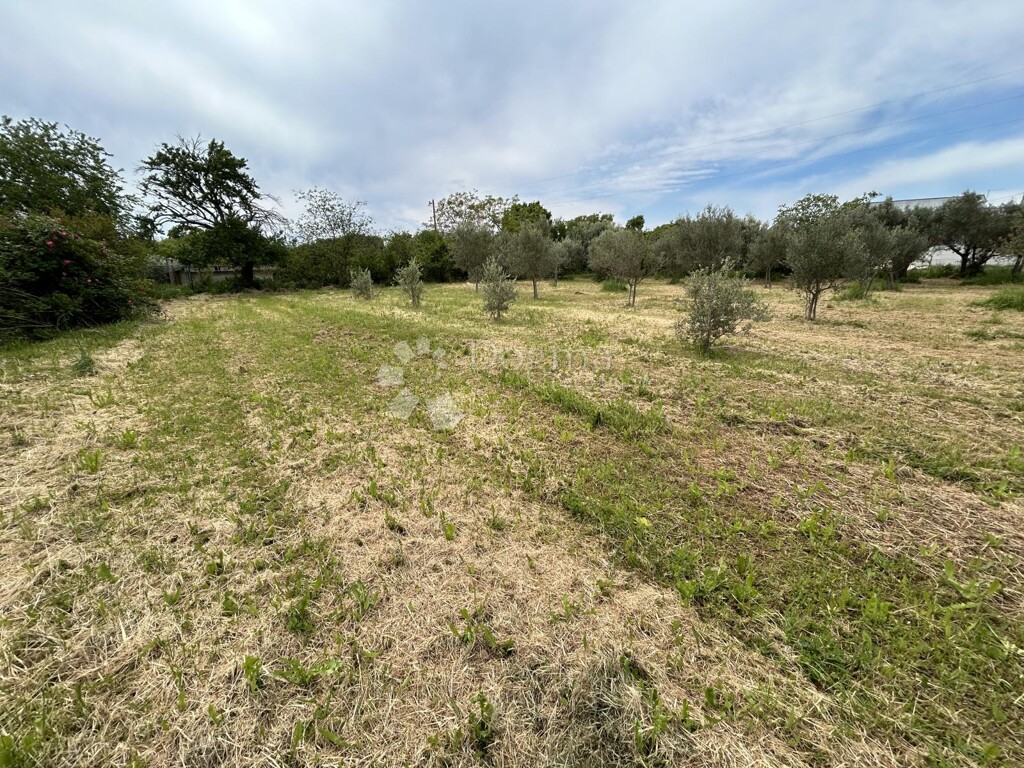 Image 6320422 - 1