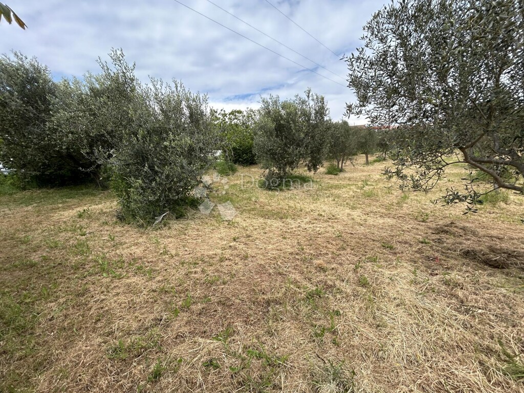 Image 6320424 - 1