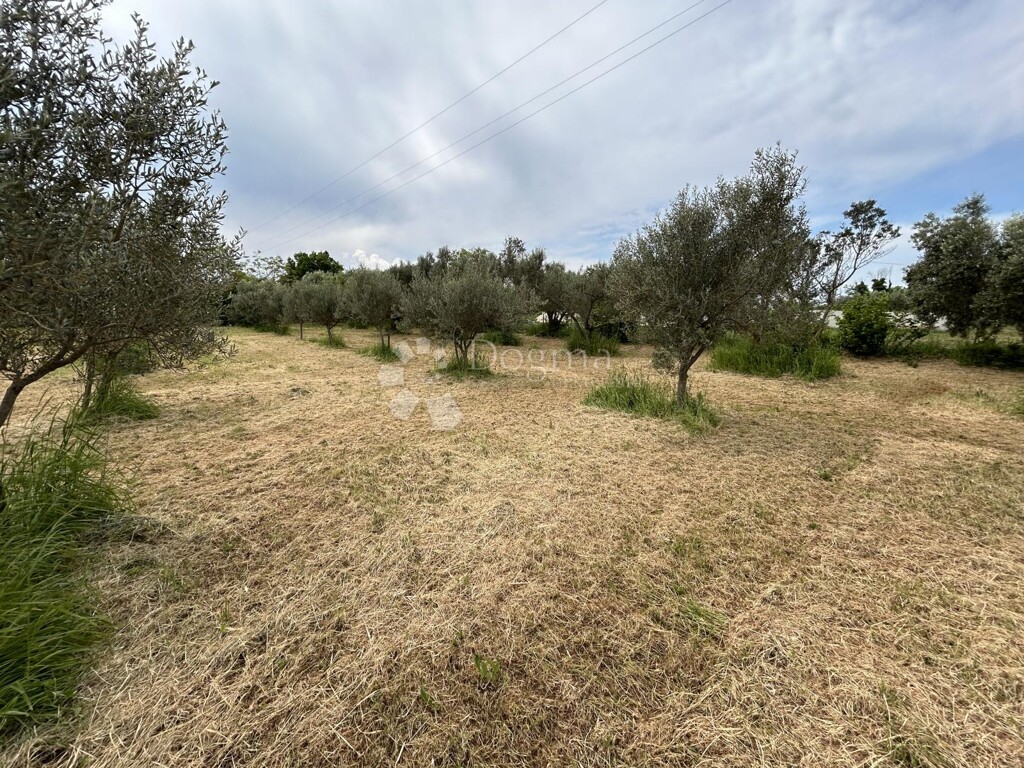 Image 6320424 - 4