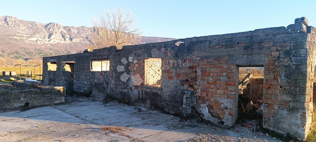 Image 6320429 - 3