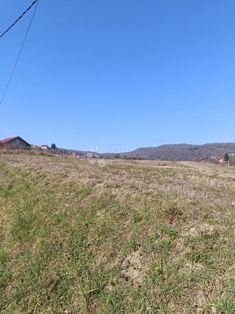 Image 6320441 - 1