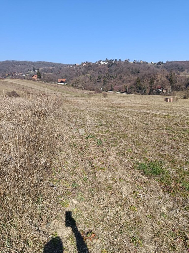 Image 6320441 - 2