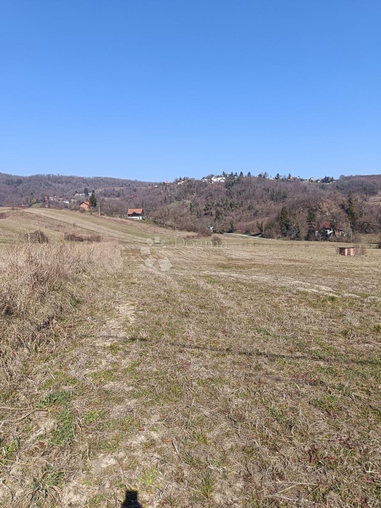 Image 6320441 - 3