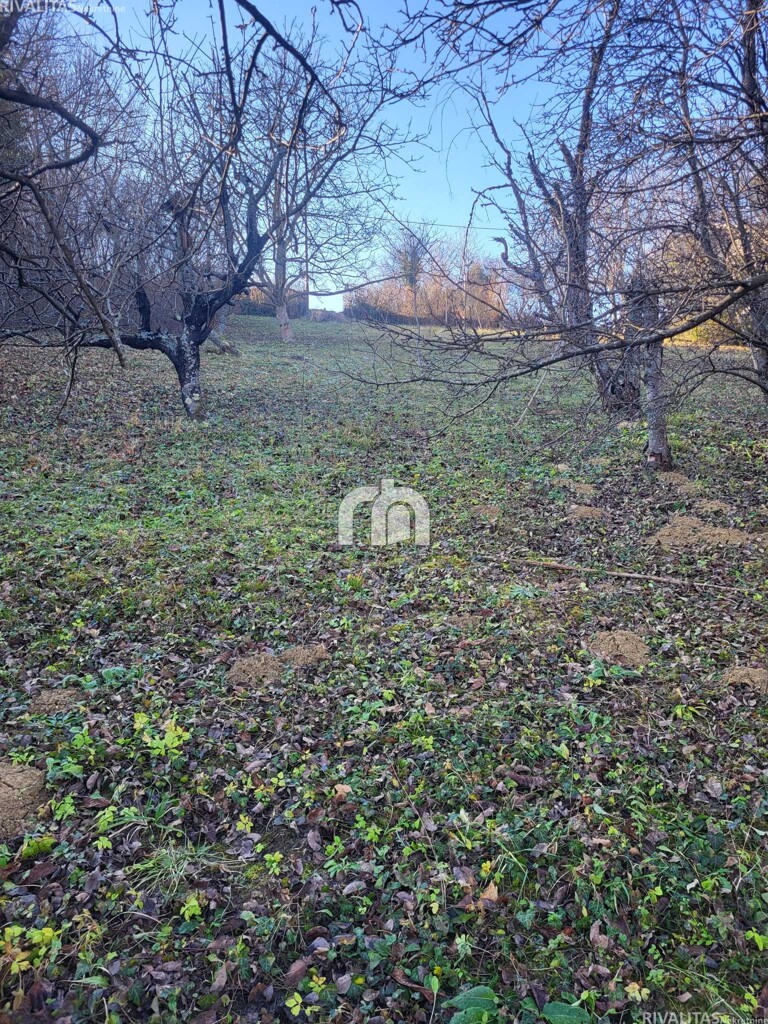 Image 6320492 - 3