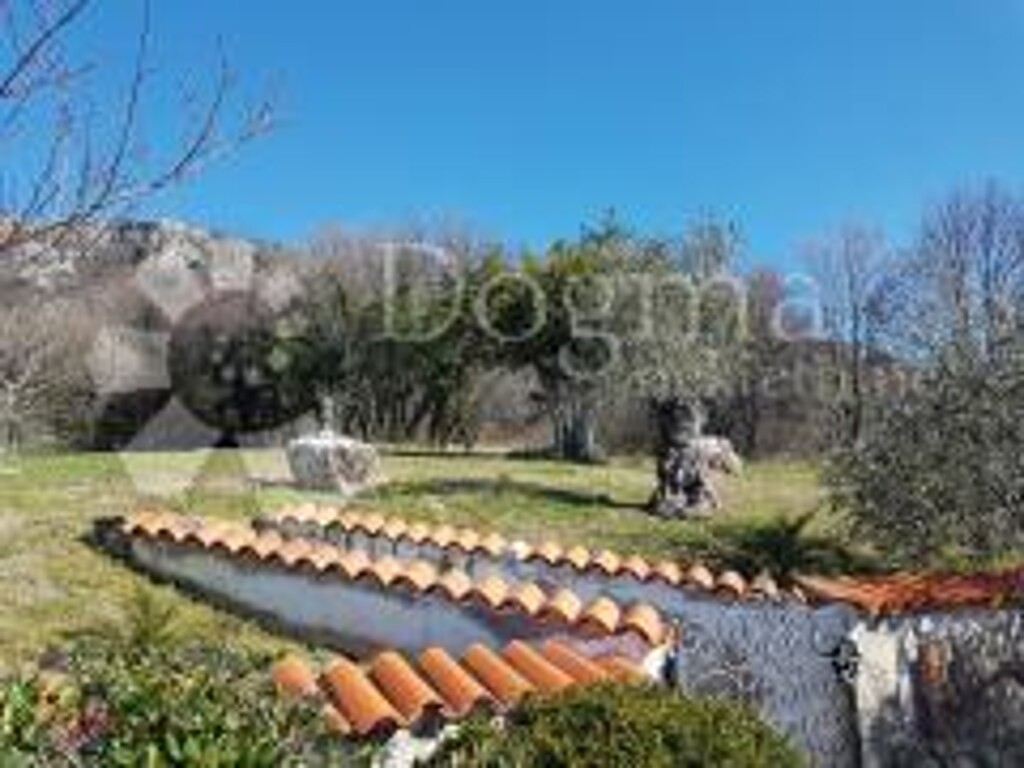 Image 6320499 - 12