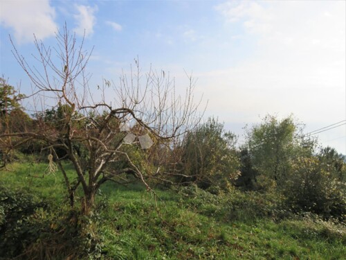 Thumbnail 6320501 - 6