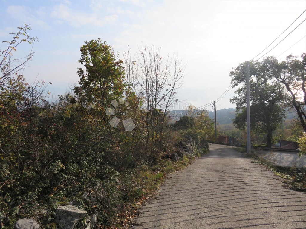 Image 6320501 - 8