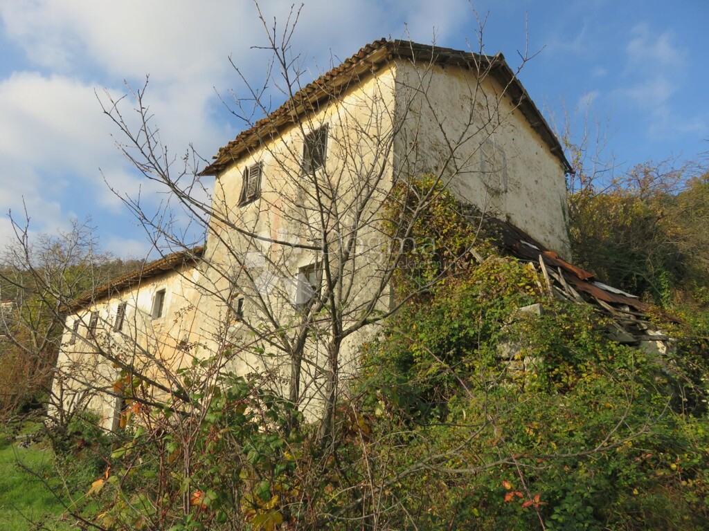 Image 6320501 - 2