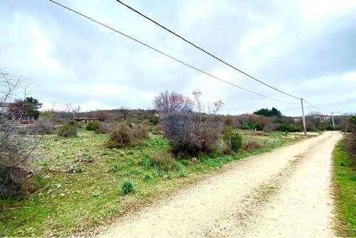 Thumbnail 6320645 - 5