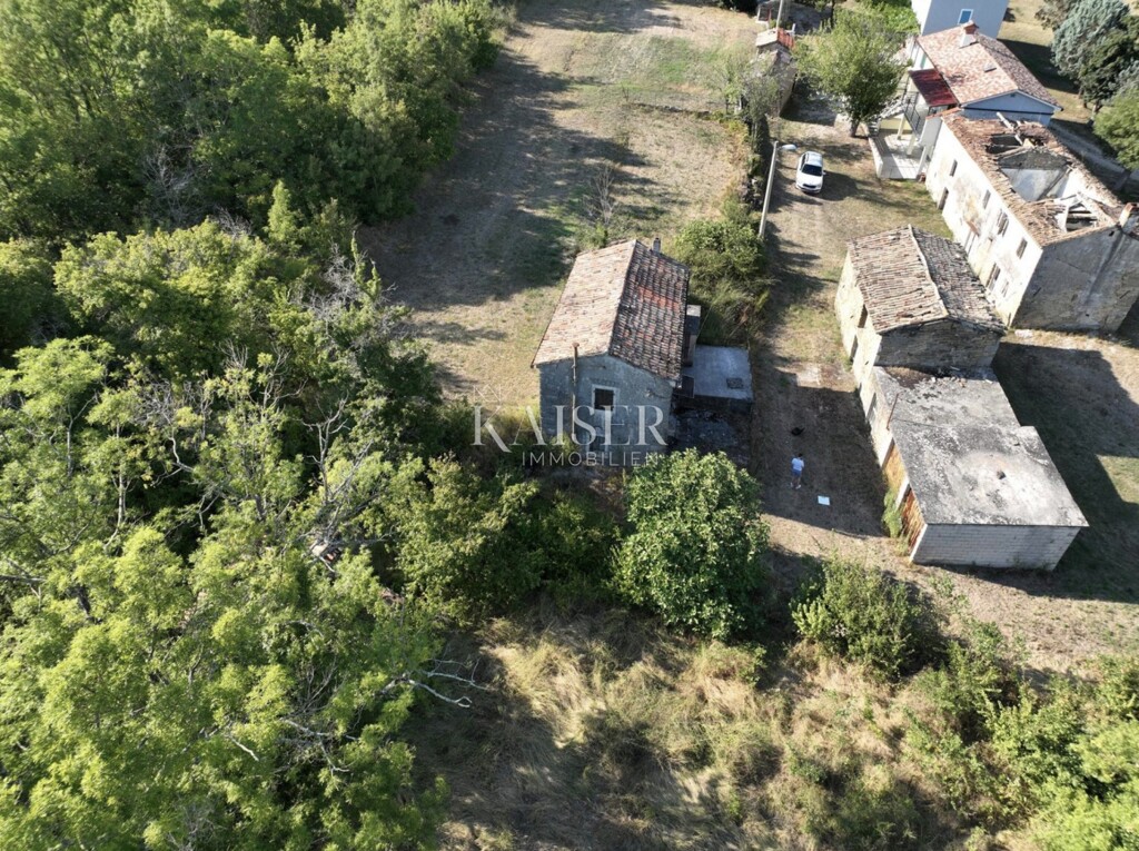 Image 6320673 - 1