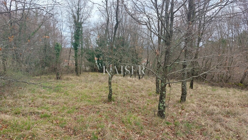 Image 6320677 - 4