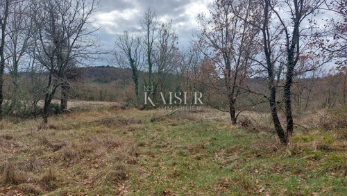 Thumbnail 6320677 - 6