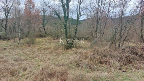 Thumbnail 6320677 - 3