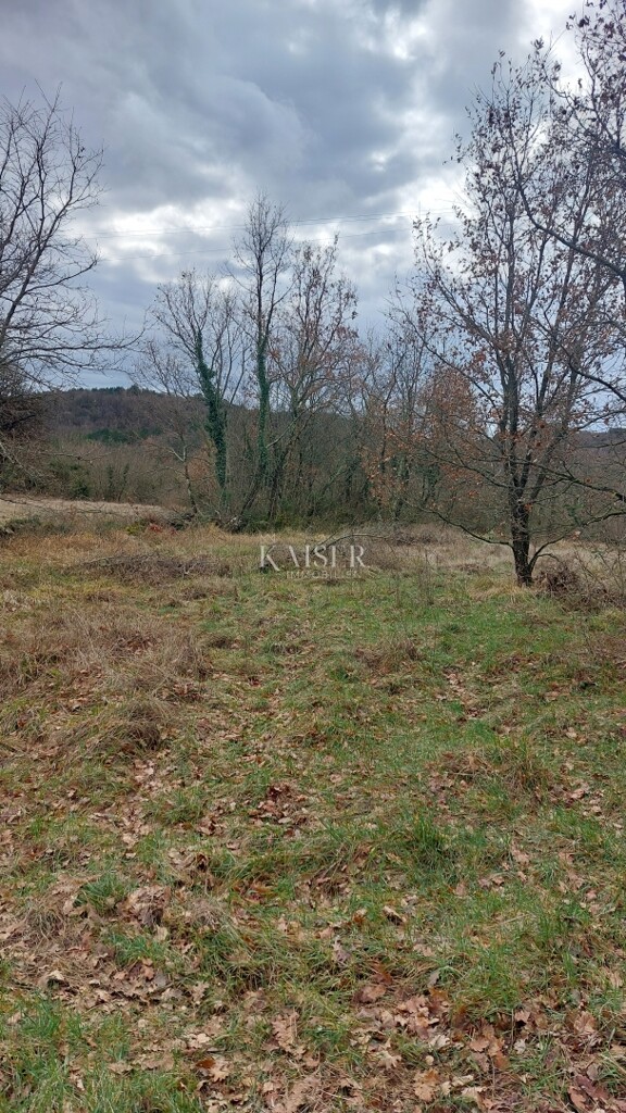 Image 6320677 - 5