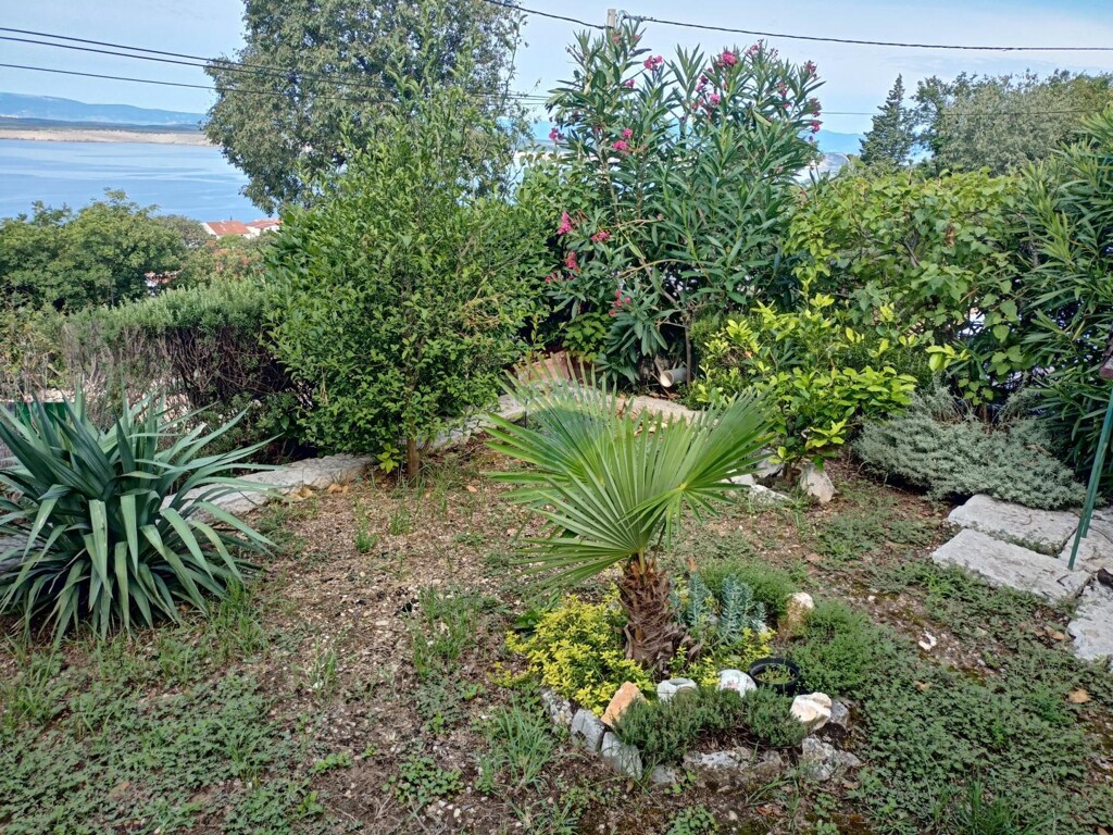 Image 6320718 - 7