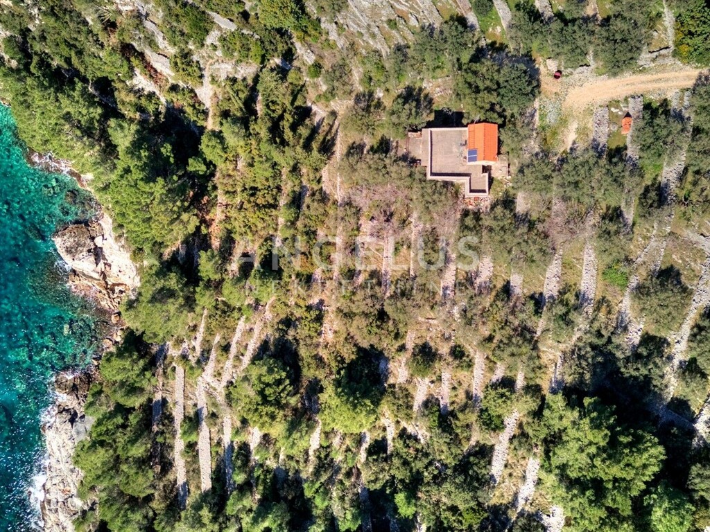 Image 6321464 - 3