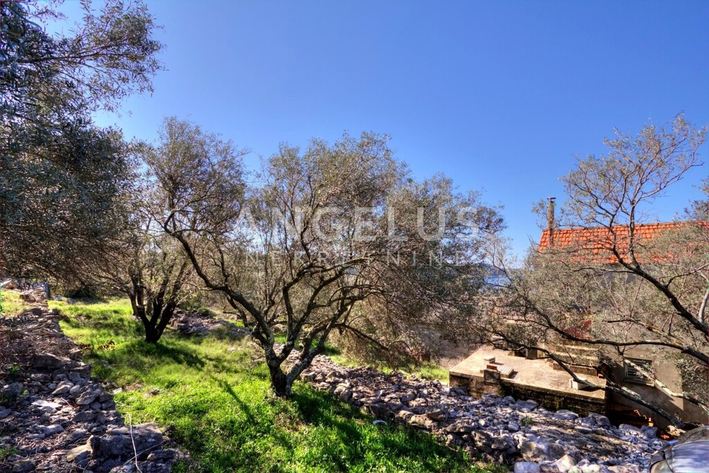 Image 6321464 - 8