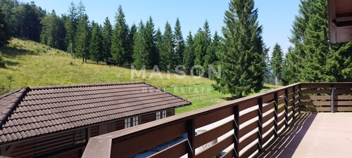 Thumbnail 6321469 - 3