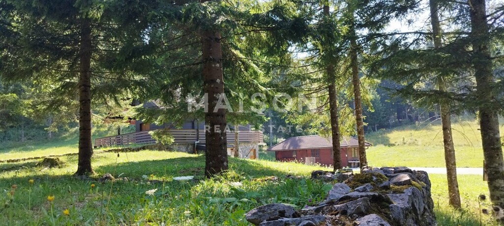 Image 6321469 - 5