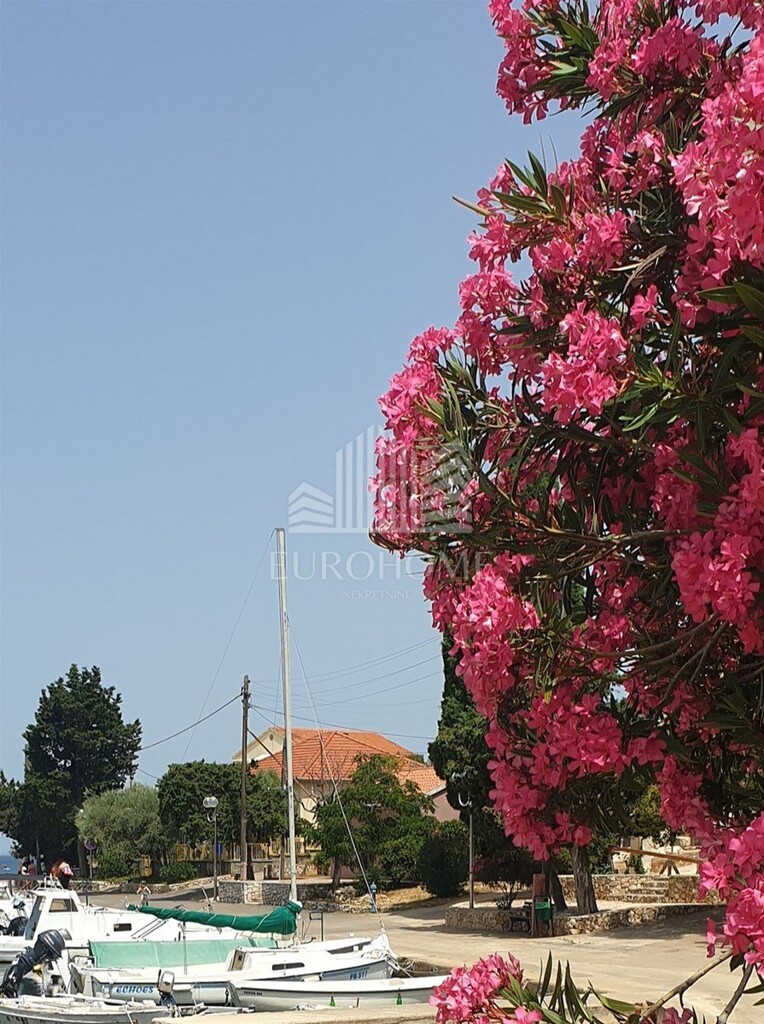 Image 6321728 - 9