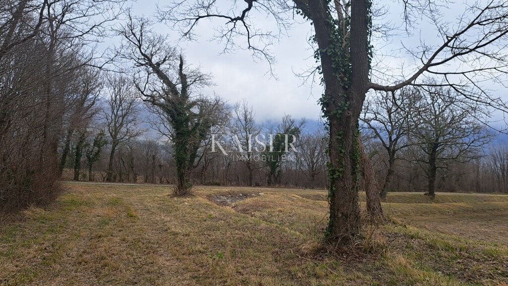 Image 6321754 - 1
