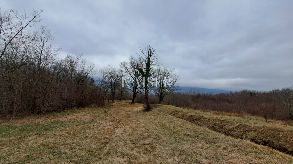 Image 6321754 - 2